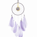 Plum Blossom Beauty Chinese Painting Dream Catcher Wall Hanging Feather Decor