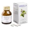 Boswellia 50 Capsule pz
