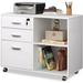 Latitude Run® Kentrel 3-Drawer Mobile Vertical Filing Cabinet Wood in White | 23.6 H x 31.5 W x 15.7 D in | Wayfair