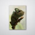 Loon Peak® Climbing Chameleon - Photograph Canvas in Green | 16 H x 12 W x 0.12 D in | Wayfair 63E5BF7F630E425AB97ACA72FA065A50