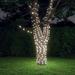 The Holiday Aisle® Solar Fairy Lights Christmas Lighting Decoration LED String Lights in White | Wayfair F6CB91750FCC4F83BA8FD145CAE7D5B5