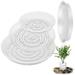 Jlong 30 Pack Clear Plant Saucers Flower Pot Trays Plastic Flower Plant Saucer Drip Trays for Indoor Outdoor Plants Garden Assorted Sizes 6 8 10 Inch