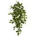 19 Mixed Stephanotis & Ivy Hanging Artificial Plant (Set of 4)