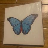 Urban Outfitters Wall Decor | Nwt Butterfly Canvas Painting Print Wall Art Home Decor Accent Nature | Color: Blue | Size: Os