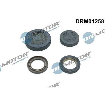 Dr.motor Automotive Stopfen, Kipphebelwellen-Montagebohrung [Hersteller-Nr. DRM01258] für Dacia, Renault Image
