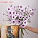 Yannee Artificial Flowers 1 Bouquet Silk Daisy Artificial Gerber Daisy for Home Decoration Artificial Small Daisy for Wedding Coffee Shop Decoration Light Purple