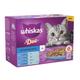 48x85g Ocean Delights in Jelly 1+ Whiskas Duo Wet Cat Food