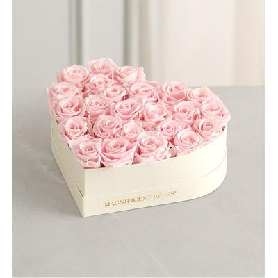 1-800-Flowers Flower Delivery Magnificent Roses Preserved Pink Heart & Necklace