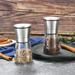SC0GO Salt & Pepper Grinder Set Of 2 - Adjustable Ceramic Sea Salt Grinder & Pepper Grinder Stainless Steel/Glass/Metal in Gray | Wayfair YQ-P170