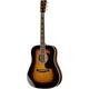 Martin Guitars D41 Sunburst