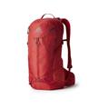 Gregory Miko 15 Daypack Sumac Red One Size 145274-9973