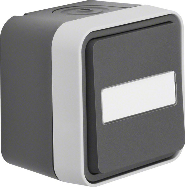 Berker Wechselschalter 30763555 Image