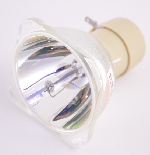 Nackte Osram Lampe OPTOMA X354 Bulb-SP.72G01GC01 / BL-FU195A Nackte Osram Lampe Image