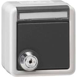 Gira Steckdose, 1f, grau, Aufputz, Steckdose CEE 7/3 (Typ F), mit Klappdeckel, IP44, Textfeld/Beschriftungsfläche, 456930 Image
