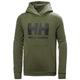 Junior Unisex Helly Hansen Jr HH Logo Hoodie 2.0, Grün, 8