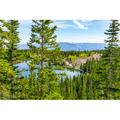 Millwood Pines Pine Tree Forest by Krblokhin - Wrapped Canvas Photograph Canvas | 8 H x 12 W x 1.25 D in | Wayfair D9535E9C71AA4078AB45D36E859642D9