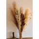 Maisie| Pampas Grass, Brown Bunnytails, Bougainvillea | Home Decor| Dried Flower Bouquets UK