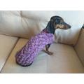 Wool Dog Jumper, Dachshund Cloches Wool Sweater