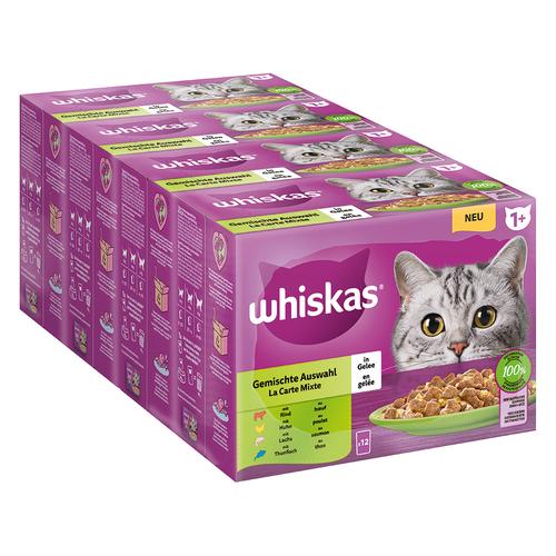 96x 85g Megapack Whiskas 1+ Adult Frischebeutel Gemischte Auswahl in Gelee Katzenfutter nass