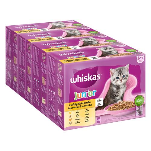 96x 85g Megapack Whiskas Junior Frischebeutel Geflügel Auswahl in Gelee Katzenfutter nass