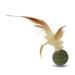 RABBITH Catnip Feather Toy for Cat Edible Balls Healthy Natural Plants Ingredients