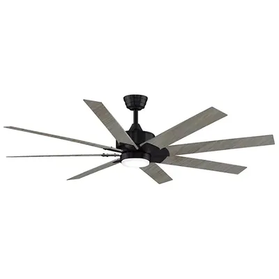 Fanimation Levon DC Ceiling Fan