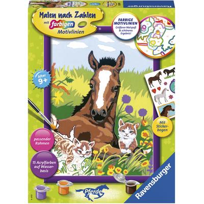 Malen nach Zahlen RAVENSBURGER "Süße Tierkinder, Pferd", bunt, Malvorlagen, KinderB:18cm H:24cm, Made in Europe, B:18cm H:24cm Image