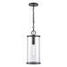 ELK Lighting Hopkins 17 Inch Tall Outdoor Hanging Lantern - 89495/1