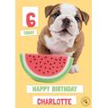 Studio Pets Birthday Card Bulldog Puppy Card Ecard