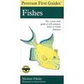 Fishes The Concise Field Guide To 220 Common Fishes Of North America