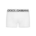 Dolce & Gabbana Cotton Blend Logo Waistband Boxer Briefs