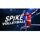 Spike Volleyball