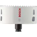 Bosch Progressor Wood and Metal Hole Saw