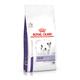 ROYAL CANIN® Calm Small Dog Adult Dry Food - 4kg