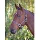 Blenheim Red/Navy Leather Polo Headcollar - Cob