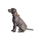 Ancol Stormguard Fleece Lined Dog Coat and Chest Protector - Choc - Small