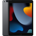 iPad 9th Gen 256GB Cell