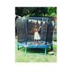 Plum 7Ft Blue Trampoline And Enclosure