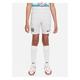 Nike Youth Chelsea 22/23 Away Shorts - White, White, Size S