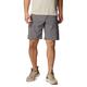 Columbia Mens Silver Ridge Utility Cargo Shorts (City Grey)