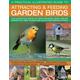 A Practical Illustrated Guide to Attracting & Feeding Garden Birds The Complete Book of Bird Feeders, Bird Tables, Birdbaths, Nest Boxes and Backyard Birdwatching