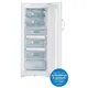 Indesit Uiaa 10 (Uk).1 White Freestanding Freezer