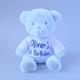 Personalised 1st Birthday Blue Teddy Bear Soft Toy