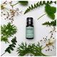 Fennel Pure Essential Oil