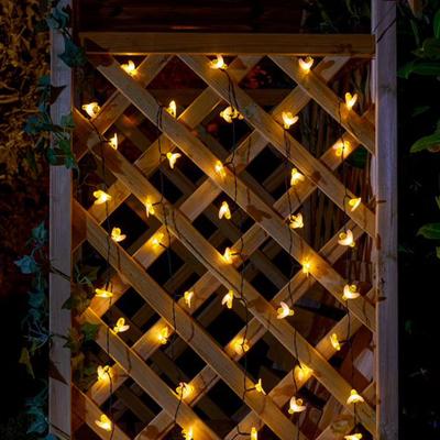 Set Of 50 Buzzy Bee String Lights