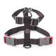 Jet L Walkabout Dog Harness 56Cm To 80Cm