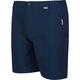 Regatta Mens Highton Mid Length Casual Summer Walking Shorts 32 - Waist 32' (81cm)