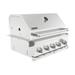 Spire Premium Barbecue 740-0788P 5 Burner with Rear Burner Propane Gas Convertible to Natural Gas 30 inches Built In 3050R Island Grill Head Stainless Steel