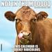 Not in the Mooood 2024 12 X 12 Wall Calendar (Calendar)