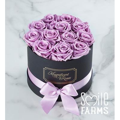 1-800-Flowers Flower Delivery Magnificent Roses Preserved Lavender Roses One Dozen